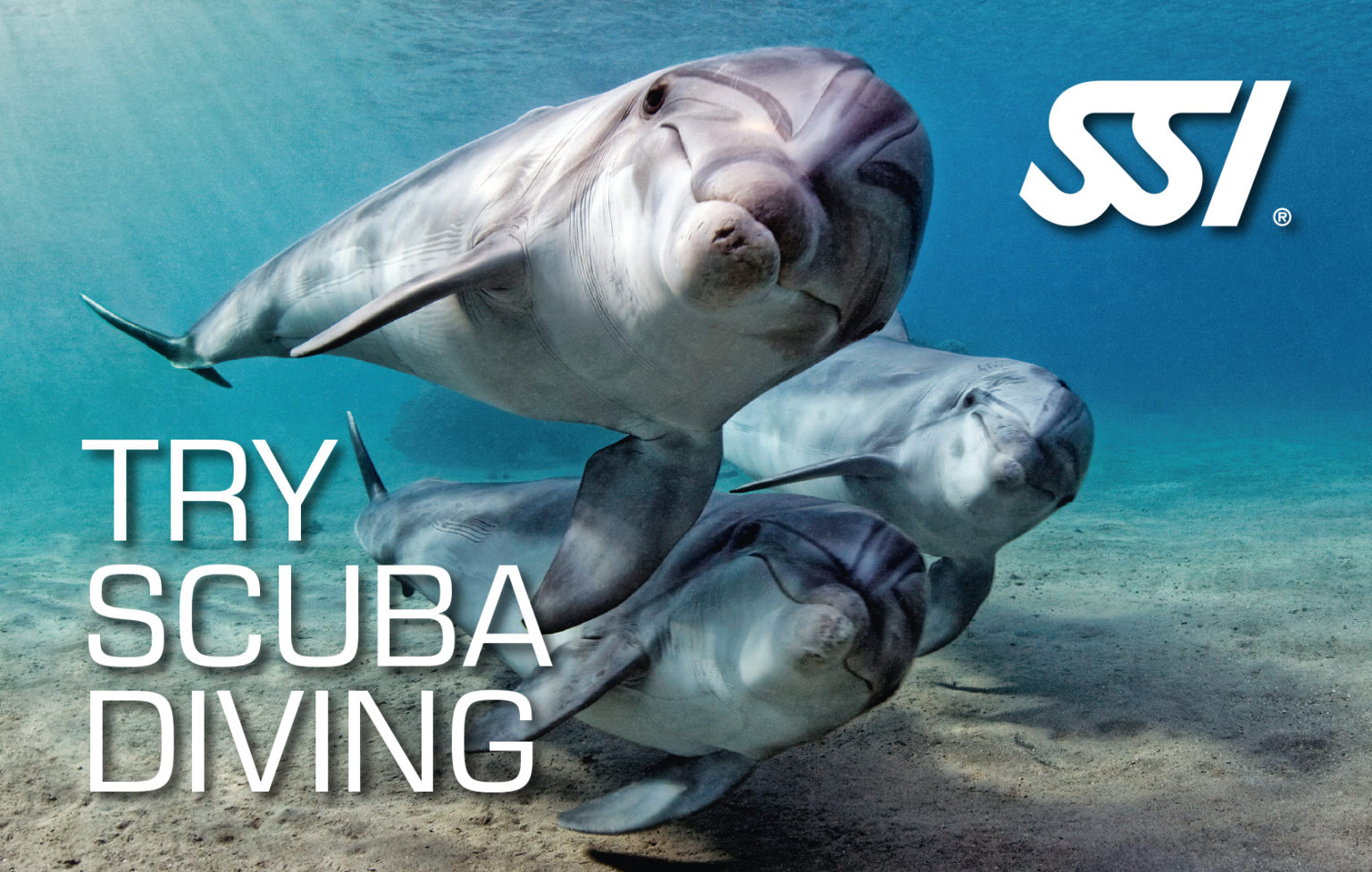 Try Scuba and you will enter a new world. The first time being under water is one of the memories you will keep.