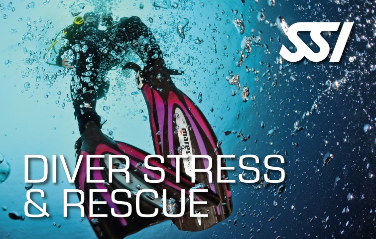 Rescue Diver: one of the most essential courses